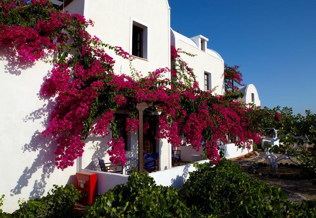 Anna Traditional Apartments Kamári Dış mekan fotoğraf